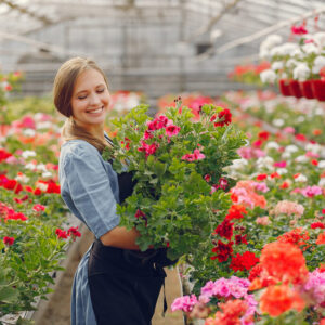Woman in a black apron working in a greenhouse
